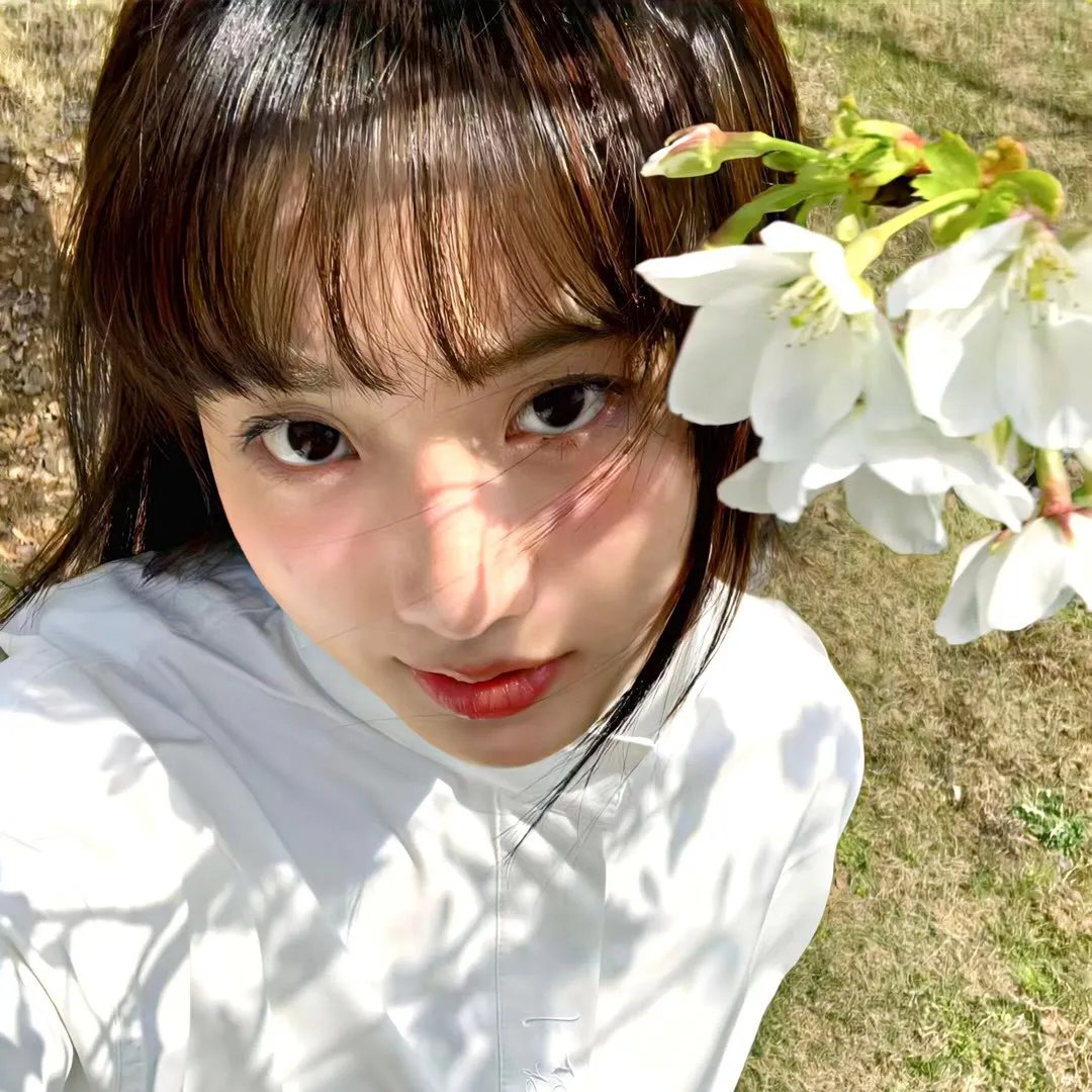 苦茶香